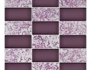 48X98_R_624