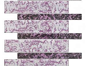 48X248_L_824