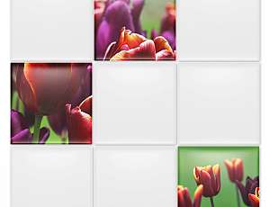 98X98_FLR_313_B