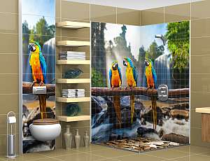 BANYO_1858